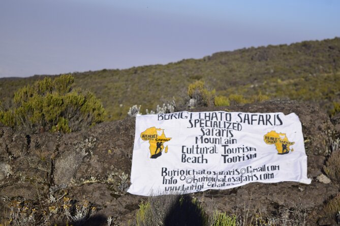 6 Days Kilimanjaro climbing | Hiking Tour via the Rongai Route - Day 6: Down through Mandara Hut to Marangu Gate