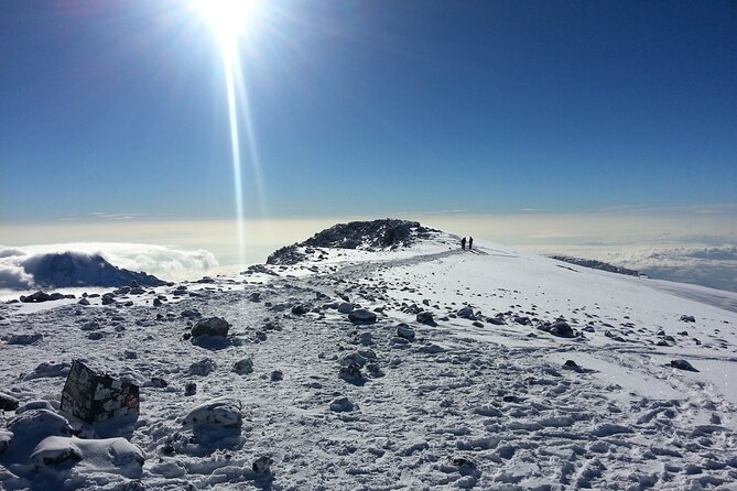 6 Days Kilimanjaro climbing | Hiking Tour via the Rongai Route - Day 1: Forest walking to Cave Camp at 2,600 meters