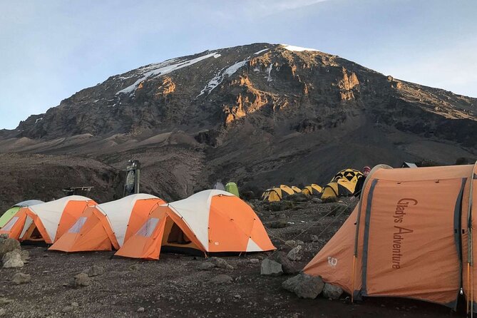 6 Days Kilimanjaro Climbing Machame route - Day Six: Through Cloud Forest to Mweka Gate