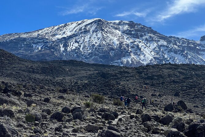 6 Days Kilimanjaro Climbing Marangu Route - Day 3: The extra Horombo night that improves your odds