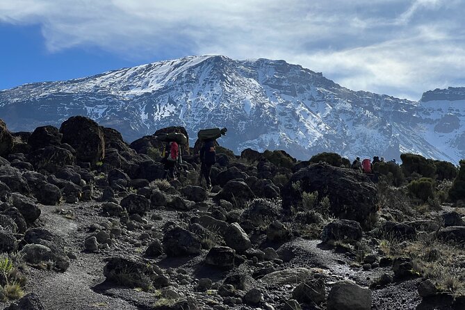 6 Days Kilimanjaro Climbing Marangu Route - Day 1: Moshi to Mandara Huts through the rainforest