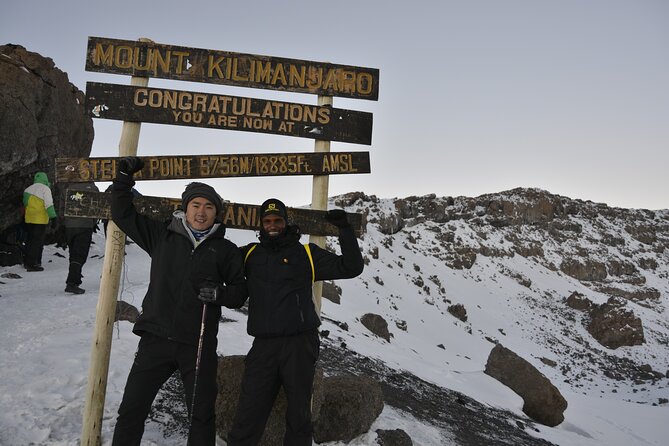 6 Days Kilimanjaro Lemosho route Climbing and Hiking Tour - What the six-day Lemosho route is really like