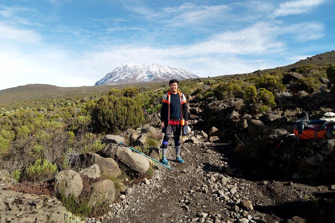 6 Days Kilimanjaro Lemosho route Climbing and Hiking Tour - Day 5: Stella Point, Uhuru Peak, and Millennium Camp