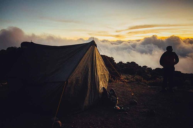 6 Days Kilimanjaro Trekking - Machame Route - Day one: Moshi to Machame through the rainforest