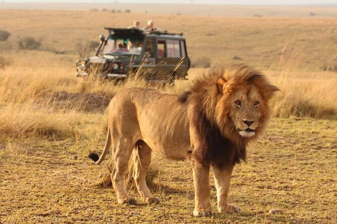 6 Days lodge &camping tour Serengeti ,Tarangire ,Ngorongoro Crater and Manyara - Key points to know before booking