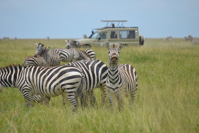 6 Days lodge &camping tour Serengeti ,Tarangire ,Ngorongoro Crater and Manyara - What $1,600 per person gets you in practical terms