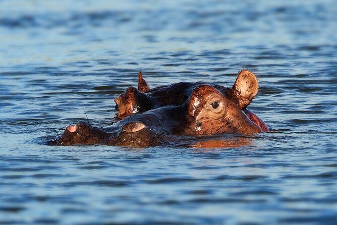 6 Days Luxury Migration Safari-Northern Tanzania - Lake Manyara and the final return to Arusha