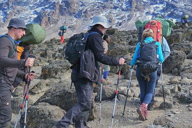 6 Days Machame Route Hike - The guide team is part of the value