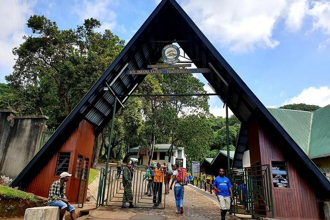 6 Days Machame Route Hike - The rain forest opening and Machame Camp
