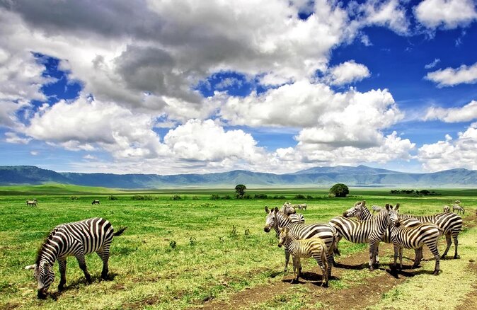6 Days Machame route Kilimanjaro climbing - Key points before you book