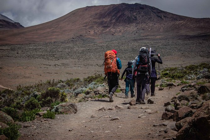 6 Days MARANGU ROUTE (Kilimanjaro Trekk) - Why the Marangu Route works in six days