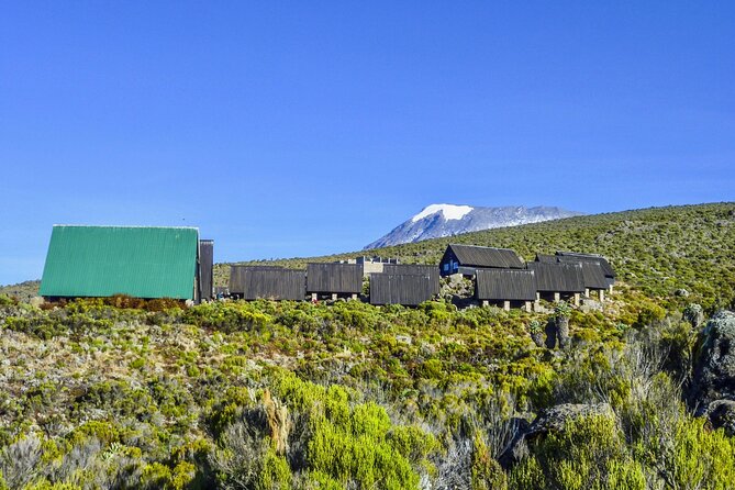 6 Days MARANGU ROUTE (Kilimanjaro Trekk) - Day 4: Across the alpine desert to Kibo Hut