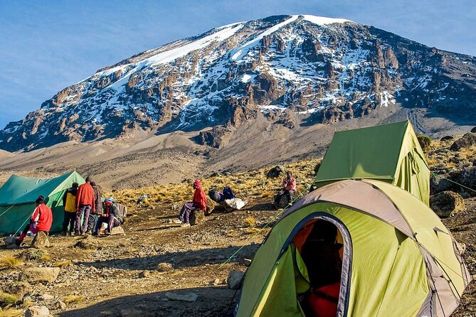6 Days MARANGU ROUTE (Kilimanjaro Trekk) - Day 6: Descending through forest to Marangu Gate