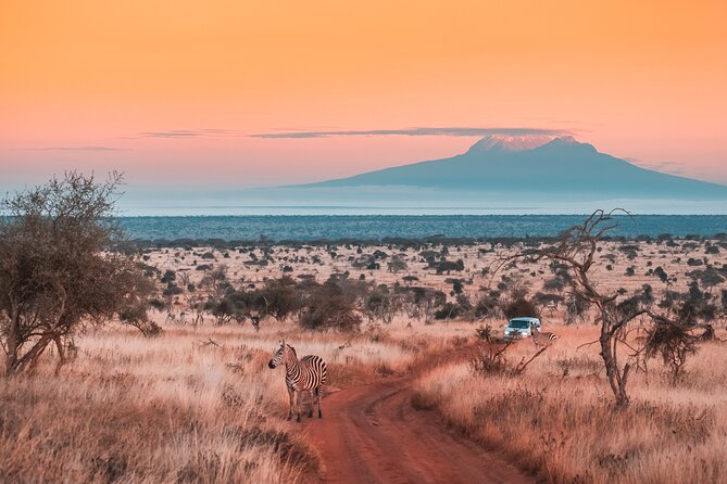 6 Days Mount Kilimanjaro Climbing via Rongai Route - Key points to know before you book