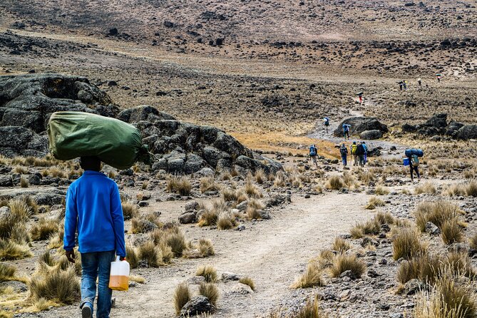 6 Days Mount Kilimanjaro Climbing via Rongai Route - Day 6: Marangu descent and the return to Moshi