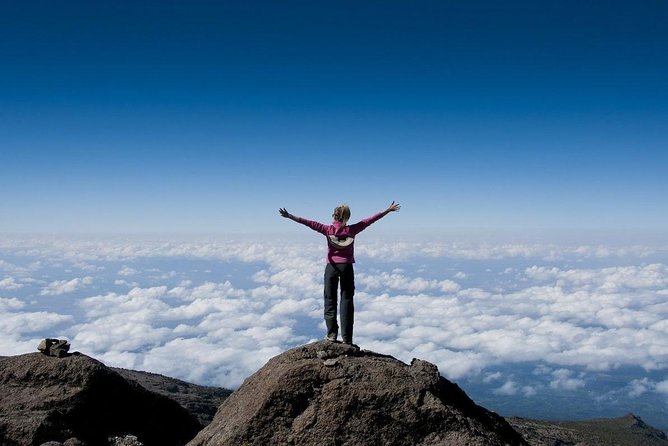 6 Days Mount Kilimanjaro Trek Marangu Route - Day 2: Mandara to Horombo Hut