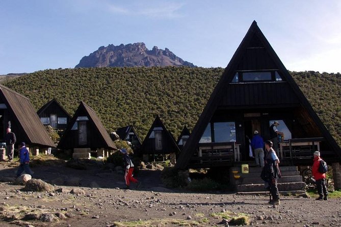 6 Days Mount Kilimanjaro Trek Marangu Route - Day 6: Horombo to Marangu Gate and Moshi