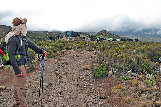 6 Days Mount Kilimanjaro Trek Marangu Route - Day 1: Marangu Gate to Mandara Hut