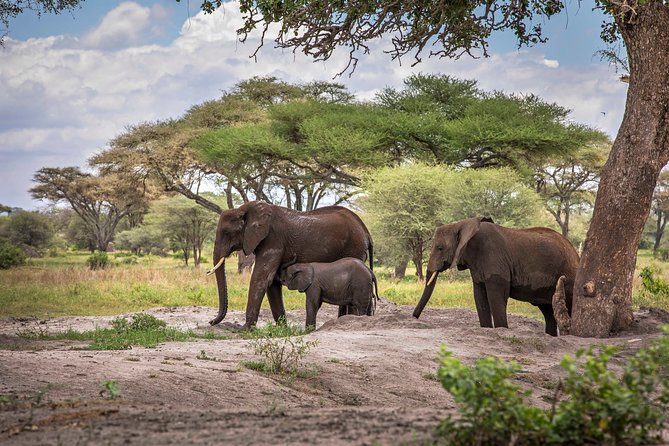6 Days Private Budget Safari - Why this six-day route works