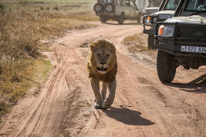 6 Days Private Budget Safari - Day 2: The long road to the Serengeti