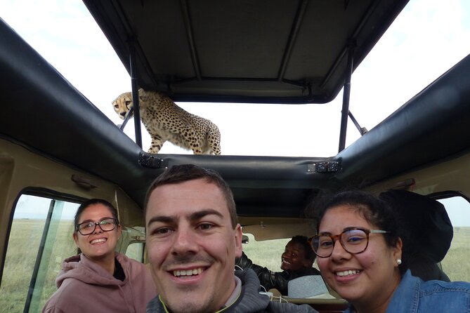 6 Days Private Budget Safari - Day 3: A full Serengeti game-drive day