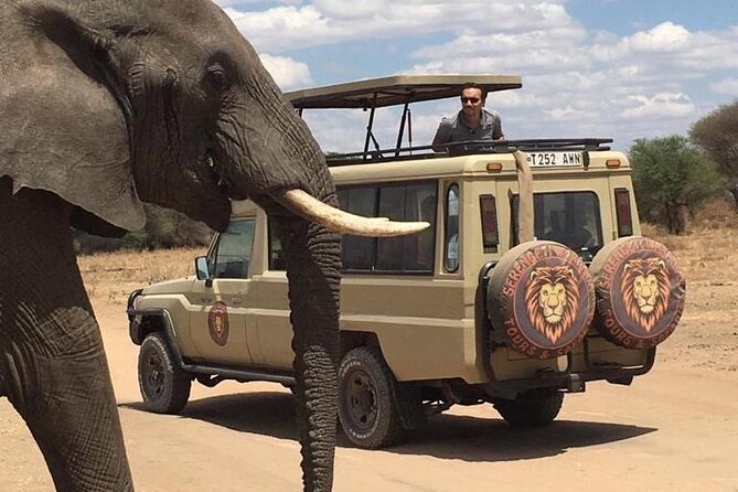 6 Days Private Budget Safari - Day 4: Sunrise in Serengeti, then toward Ngorongoro