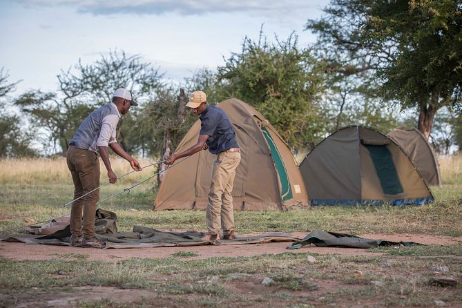 6 Days Private Budget Safari - Day 1: Tarangire’s elephants and baobabs