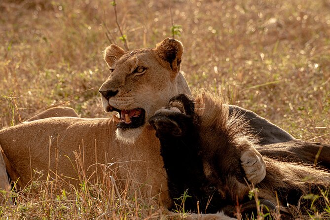 6 Days Private Safari Tour - Day 6: Lake Manyara and the road onward
