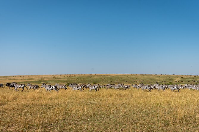 6 Days Private Safari Tour - The private format and guide quality