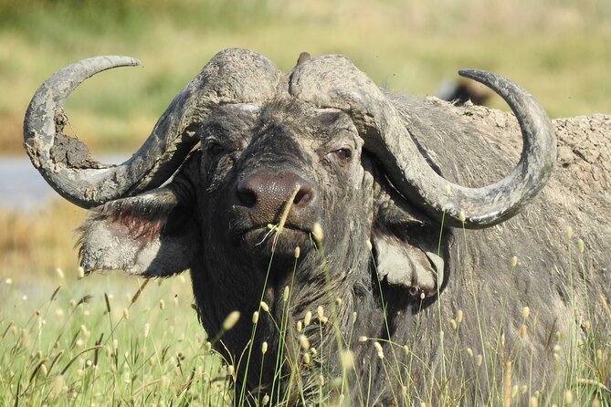 6 Days Private Safari with Mid-range Lodges or Camps - Why this six-day route works