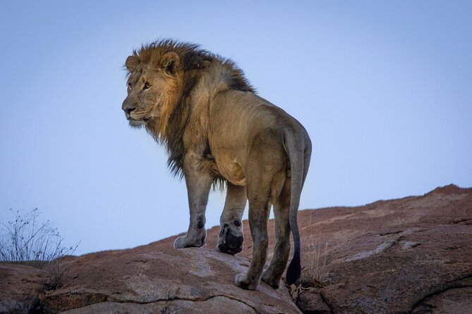 6 Days Safari : Manyara, Ngorongoro, Serengeti & Tarangire National Park - Day 4: Two Serengeti game drives at Embalakai Camp