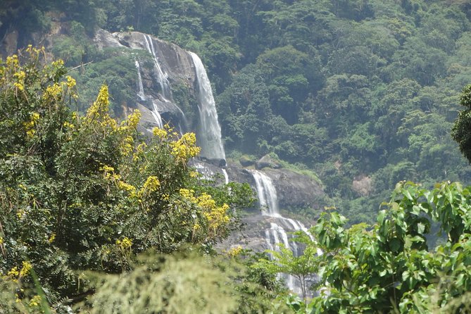 6 Days Safari to Udzungwa Mountain NP, Ruaha NP and Mikumi NP - Key points at a glance