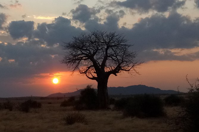 6 Days Safari to Udzungwa Mountain NP, Ruaha NP and Mikumi NP - Day six: a final Mikumi game drive and return to Dar es Salaam