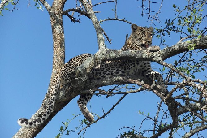 6 Days Serengeti Wildebeest Migration Safari - Key points at a glance