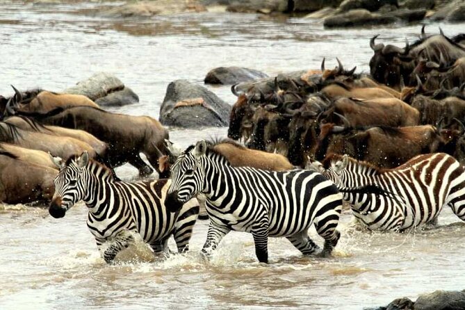6 Days Serengeti Wildebeest Migration Safari - What the $2,880 price really buys