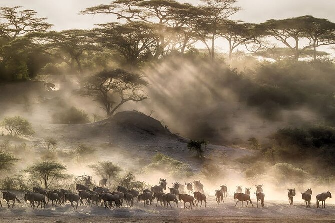 6 Days Serengeti Wildebeest Migration Safari - Day 2: The long road to Serengeti National Park