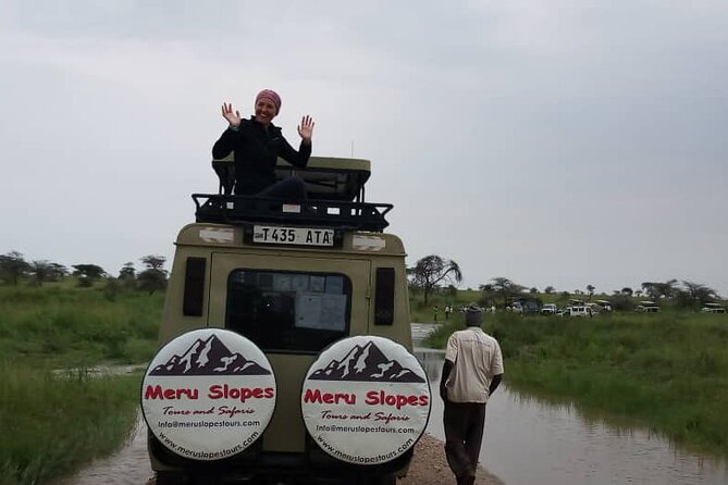 6 Days Tanzania Budget Camping Safari - Day 1: Tarangire’s elephants and baobabs