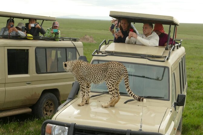 6 Days Tanzania Budget Camping Safari - Day 6: Lake Manyara and the return to Arusha