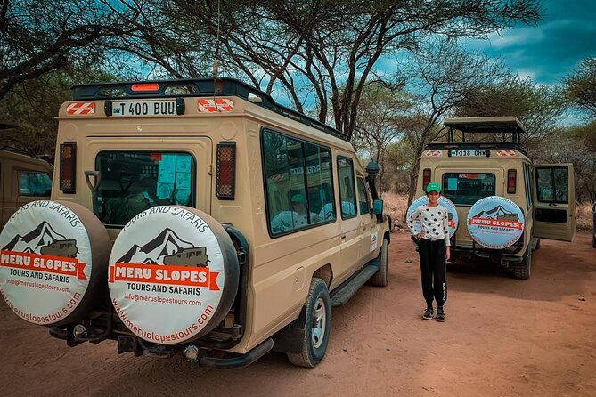 6 Days Tanzania Budget Camping Safari with Migration - Day 3: The main Serengeti game-drive day