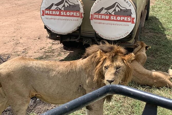 6 Days Tanzania Budget Camping Safari with Migration - Day 5: Ngorongoro Crater and Mto wa Mbu