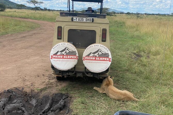6 Days Tanzania Budget Camping Safari with Migration - Day 2: Entering the Serengeti by the Rift Valley