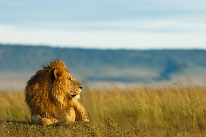 6 Days Tanzania Budget Camping Safari - Day 2: The long road into the Serengeti