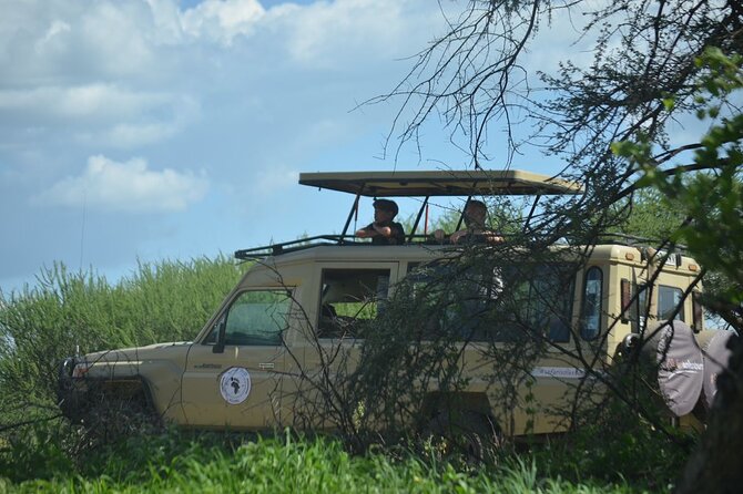 6 days Tanzania budget safari - Day 2: Ngorongoro views, Maasai culture, and a Serengeti sunset