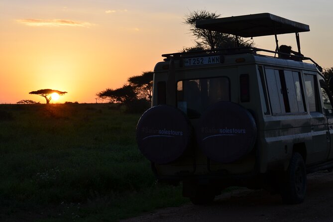 6 days Tanzania budget safari - Day 3: A full day beyond Seronera