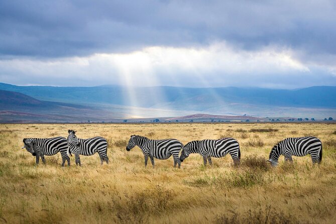 6 Days Tanzania Bush Experience Safari - Day 2: Wildlife around the Small Serengeti and Lake Natron hot springs