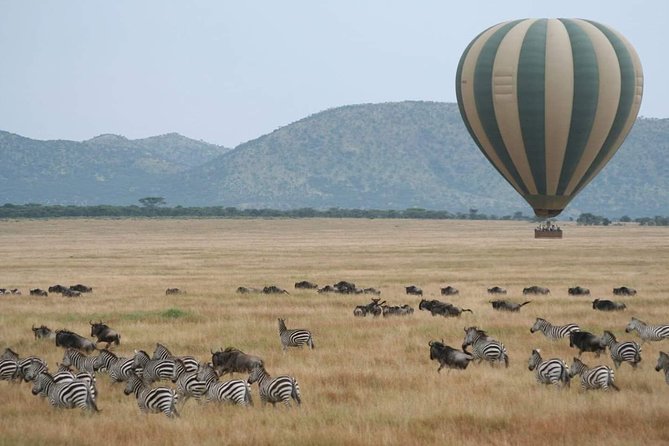 6 Days Tanzania Classic Safari - A smart six-day introduction to Tanzania