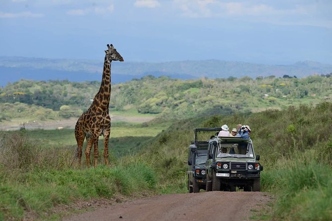 6 Days Tanzania Luxury Safari Tour - A northern Tanzania route packed into six days