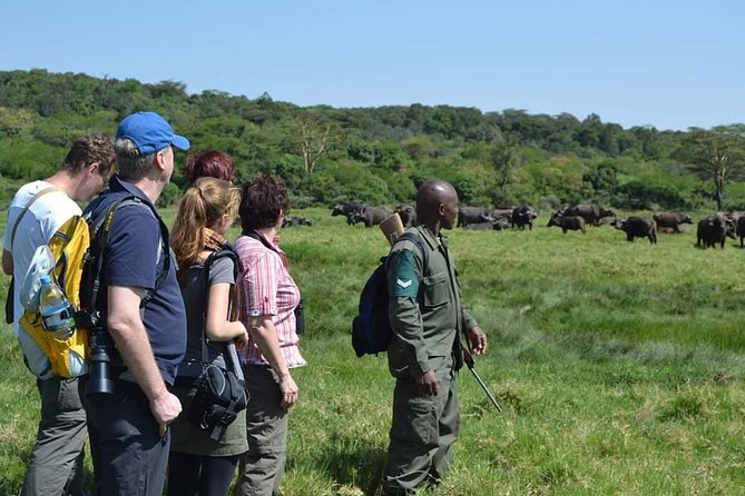 6 Days Tanzania Luxury Safari Tour - Days 2 and 3: Two different looks at Serengeti