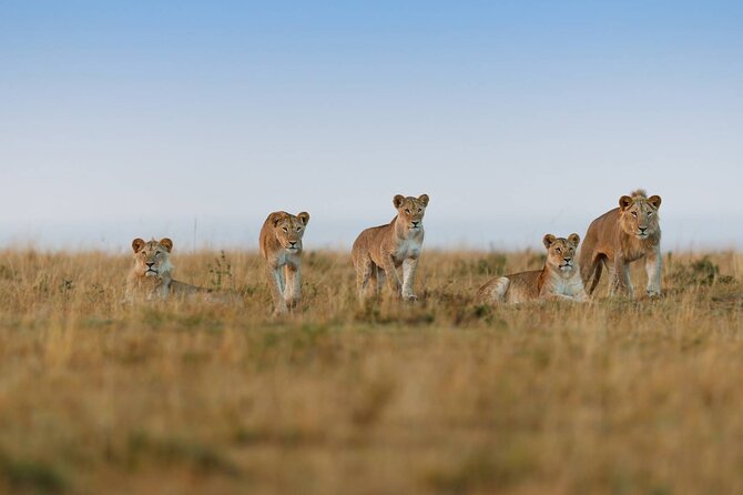 6 Days Tanzania Northern Circuit Safari - Days 3 and 4: Northern Serengeti and the Mara River