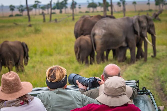 6 Days Tanzania Northern Circuit Safari - Day 6: Ngorongoro Crater and the return to Moshi